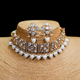 Kundan and Pearls Choker with Earrings Set