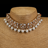 Kundan and Pearls Choker with Earrings Set